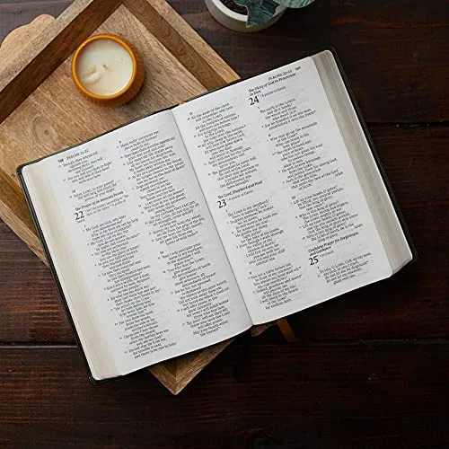 NABRE Large Print Catholic Bible, Leathersoft, Brown view 6