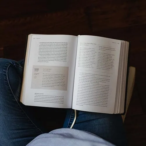 The Word on Fire Bible, Volume I: The Gospels, Leather view 4