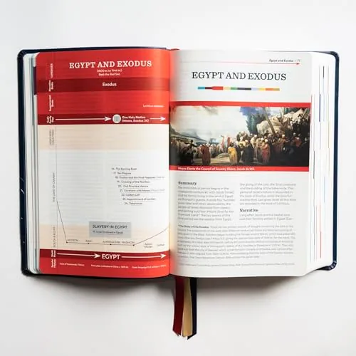 The Great Adventure Catholic Bible, Second Edition view 2