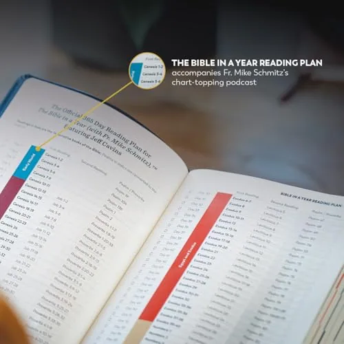 The Great Adventure Catholic Bible, Second Edition view 5