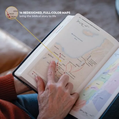 The Great Adventure Catholic Bible, Second Edition view 6