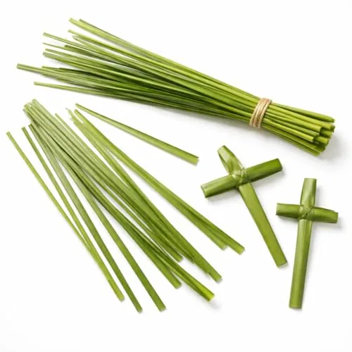 Village Gift Importers Fresh Palm Strips, Bag of 100 view 2