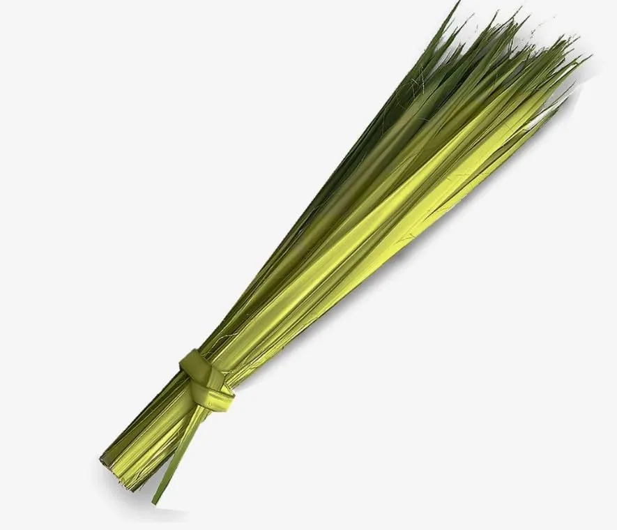 Village Gift Importers Palm Strips, 5 Bags of 100